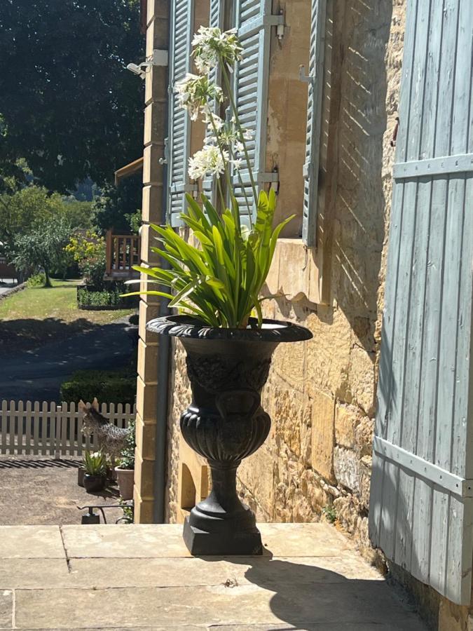 Le Clos De L'Ane Dentelle Vézac Extérieur photo