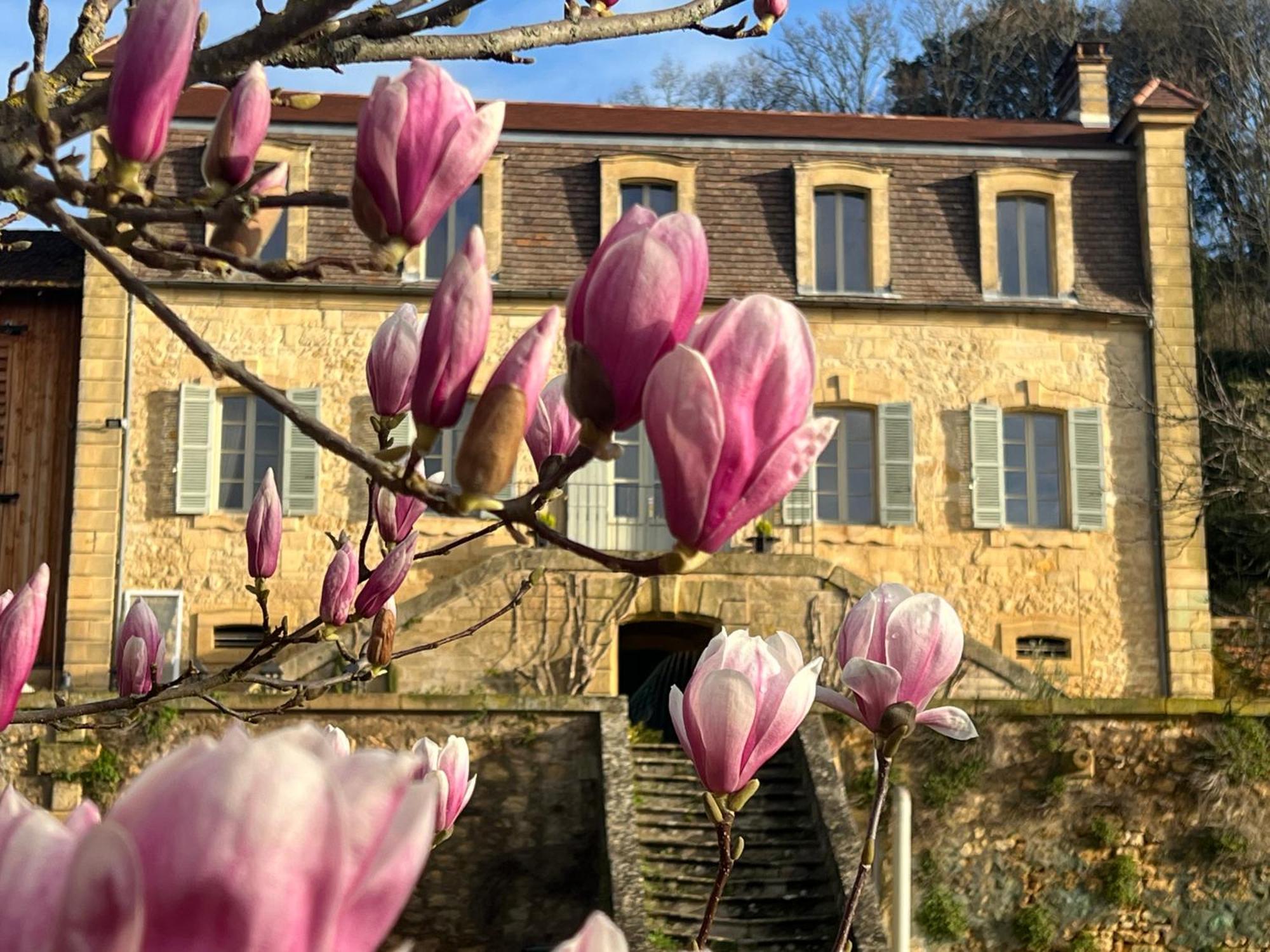 Le Clos De L'Ane Dentelle Vézac Extérieur photo