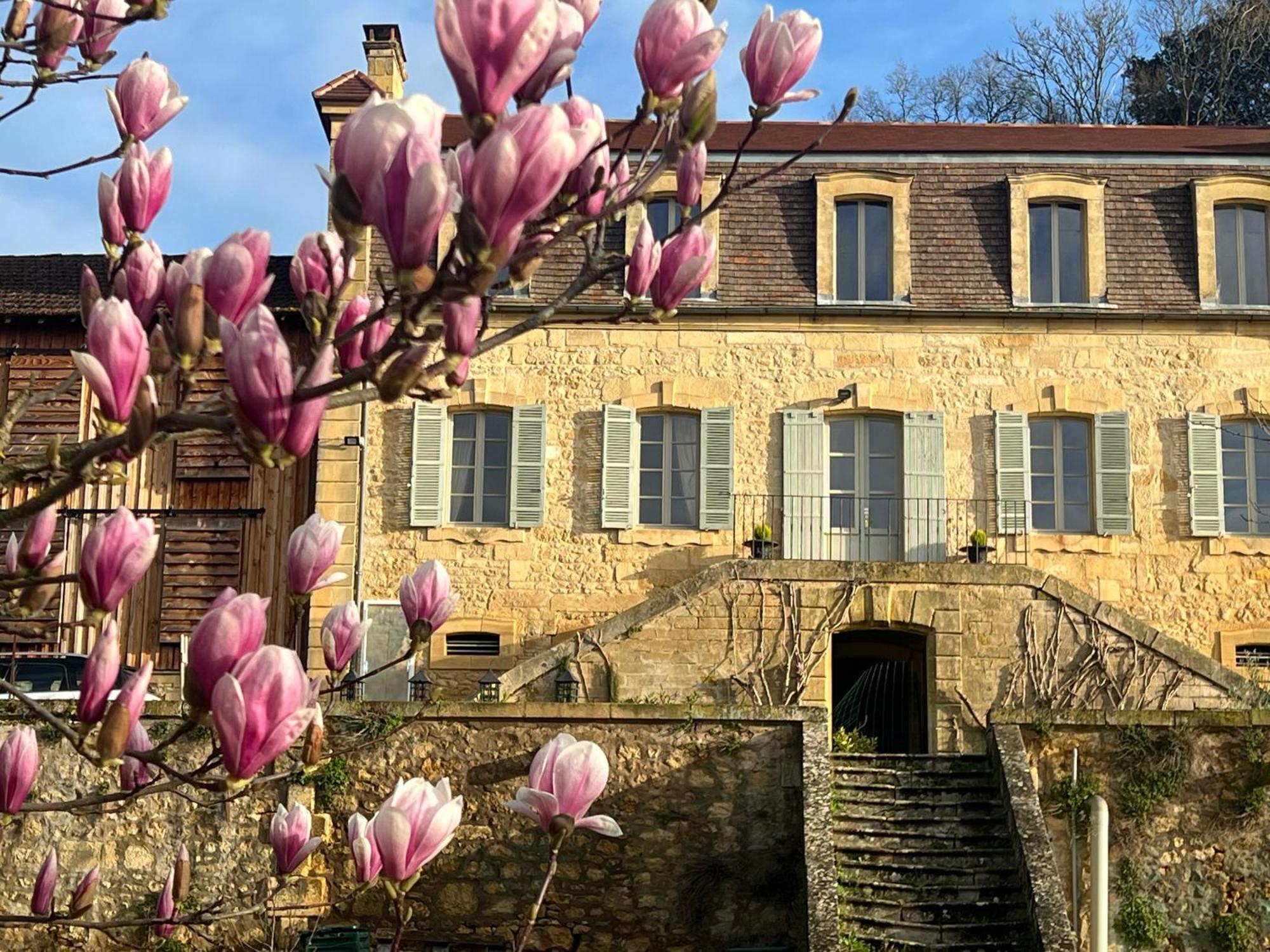 Le Clos De L'Ane Dentelle Vézac Extérieur photo